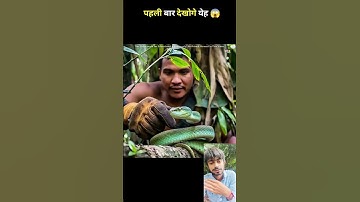 This Snake Deserves An Oscar