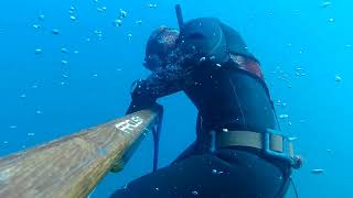 ενα μαγιατικο αρχες απριλιου amberjack