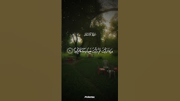 سورة الإنسان || الشيخ محمد اللحيدان #اكسبلور #المصحف #قرآن