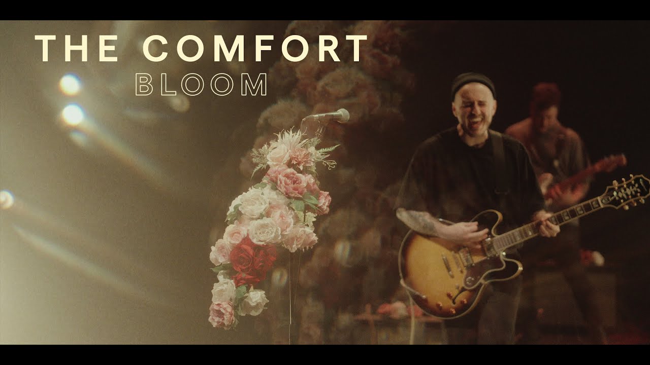 The Comfort - Bloom (OFFICIAL MUSIC VIDEO) 