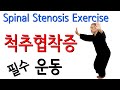 협착증에 좋은 운동 척추협착증 교정 스트레칭 Spinal Stenosis Exercise Stretching Treatment at home