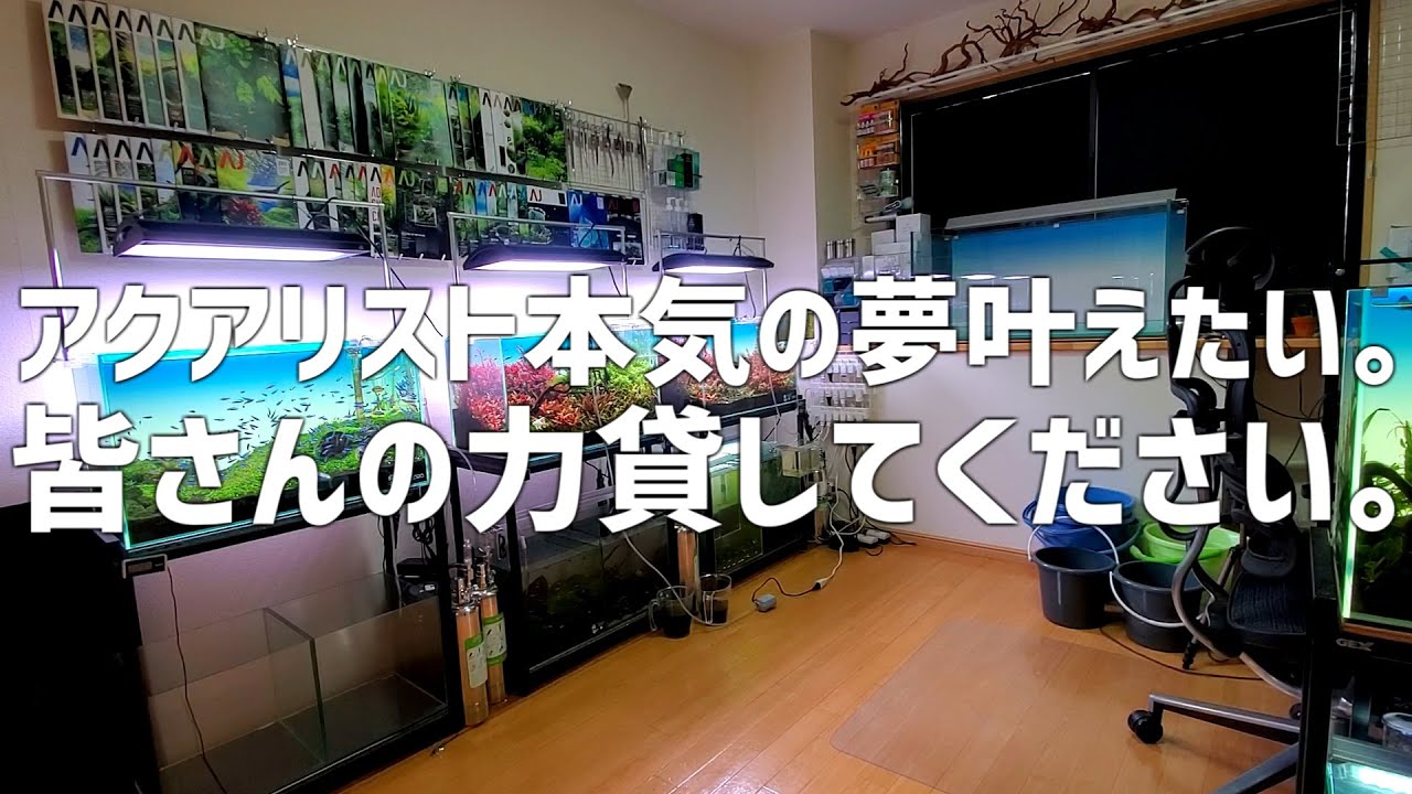 DEZERT 「変」「飼育部屋」 DEZERT 「変」「飼育部屋」 DEZERT 「変」「飼育部屋」 DEZERT 「変