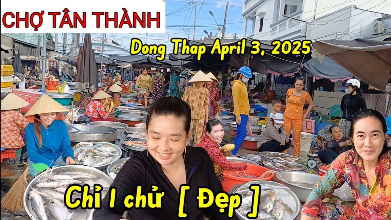 Toàn là Đặc Sãn Chợ Tân Thành - Lai Vung Đồng Tháp quá trời tôm cá thiên nhiên