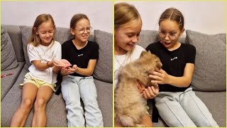 New Puppy Surprise Reaction | Surprised my daughter with our dream puppy!