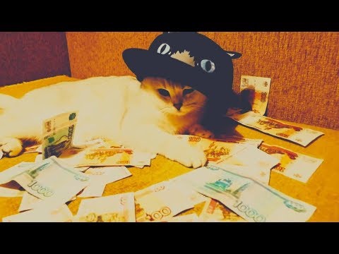 СТРИМ С ПЕПЯЧНИКОМ! - СТРИМ С ПЕПЯЧНИКОМ!