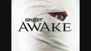 It's Not Me It's You- Skillet (lyrics) - Awake chords