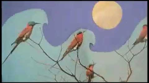 Apollo Sunshine ~ "Singing to the Earth (to Thank Her for You)"