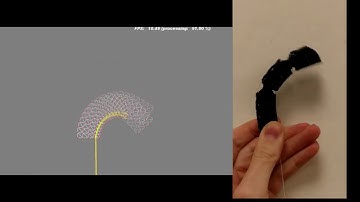 Cable-driven soft body simulation with cavities