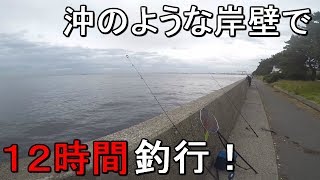 【福浦岸壁】釣れると噂の埋立地の沖のような釣り場で夜通し釣りしてみたら…【2019.05.31】