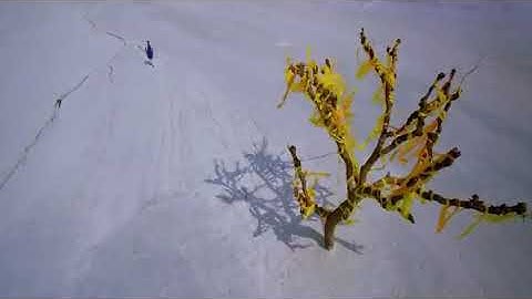 Samandar- Kis Kisko Pyar karoon | Shreya Ghosal & Jubin Nautiyal | Kapil Sharma