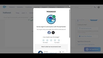 Refine Your Prompt Template for Accurate Agent Replies at Service Agent Customization with Prompt