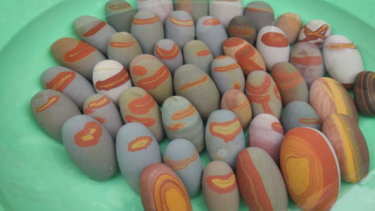 Tripund Dhari Narmadeshwar shivling, Tilakdhari Narmada Shivling, Unique & Rare Shivling, 9977733198