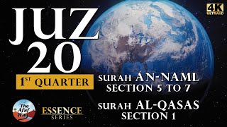 Surah An-Naml (Section 5 to 7) and Al-Qasas (Section 1) - Juz 20 : 1st Quarter - English screenshot 3