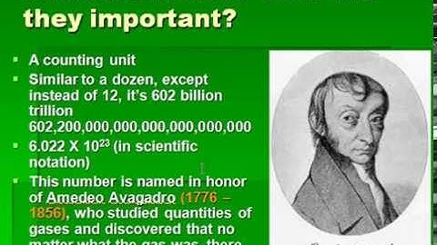 Lecture - The Mole - Mr Pauller