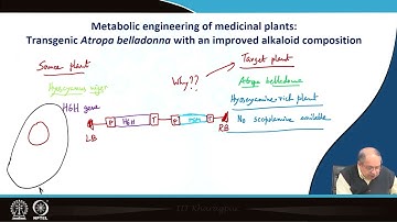 Lecrure 13: Engineering tropane alkaloid pathways in plants - I #swayamprabha #CH31SP