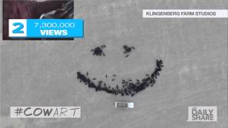 The 2015 viral vids that will make you go, WTF!