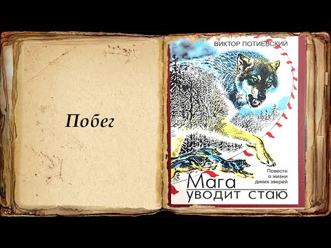 "Побег" "Мага уводит стаю" Потиевский Виктор