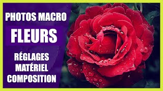 Comment prendre des photos macro de fleurs (réglages, matériel, lumière, composition, créativité)