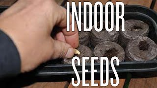 Starting Seeds Indoors