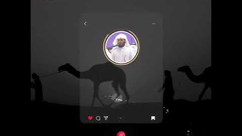 قرآن الكريم بصوت رعد الكردي 😊🖤 اجمل حالات واتس اب دينية سورة هود 🎧 وقال اركبوا فيها بسم الله..