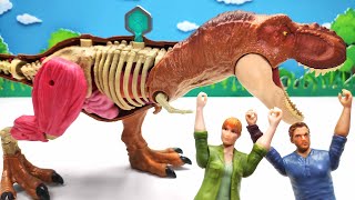 Dinosaur Anatomy Playset - Tyrannosaurus VS Pteranodon! Dinosaur Battle Video