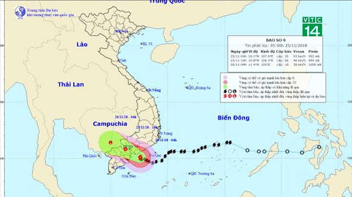 Bão số 9 đổ bộ vào tỉnh nào