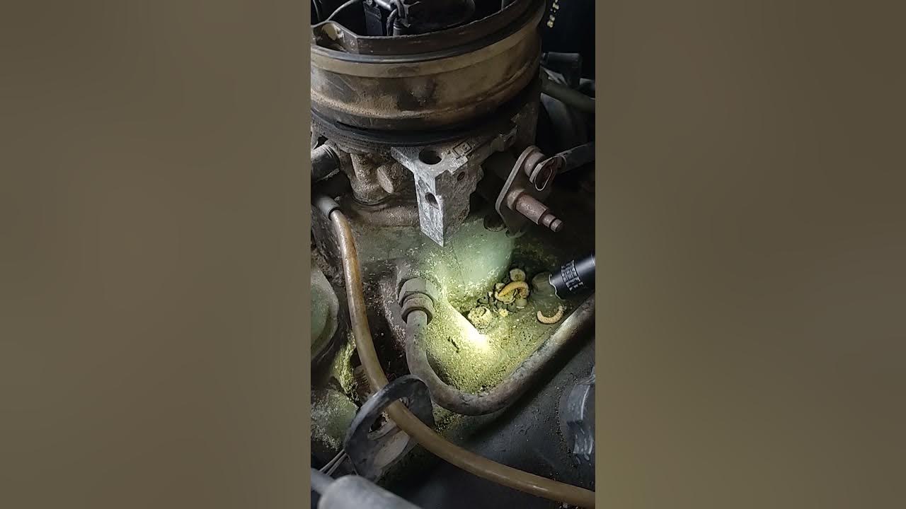 setting ignition timing on a Chevy TBI 8793 YouTube