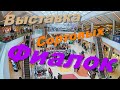 Выставка сортовых фиалок в Туле 2020 (Весна)