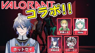 ヴァロラント ワイワイフルパで遊びます!! #valorant #vtuber