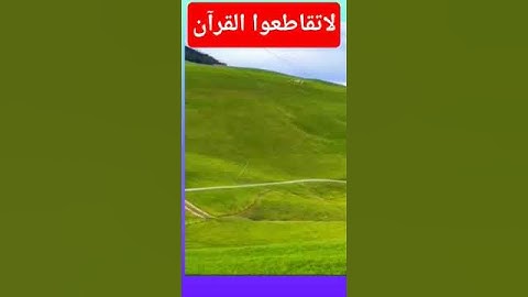 علي جابر القران الكريم #الرحمن #المصحف #اكسبلور #duet #متابعه #العلم #دو