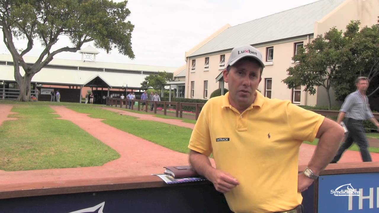 Ontrack Thoroughbreds: Owning a Share in a Racehorse