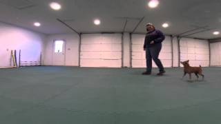 FSDA Lesson 18 Porter and Robin