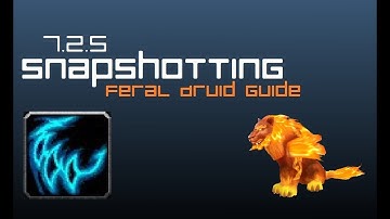7.2.5 Feral Druid Snapshotting Guide