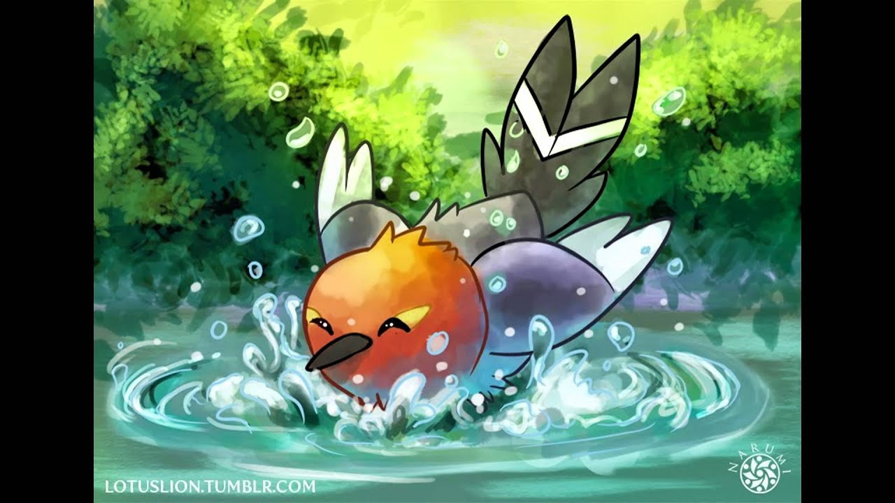 Pokemon X and Y the Starters' final evolutions information - YouTube