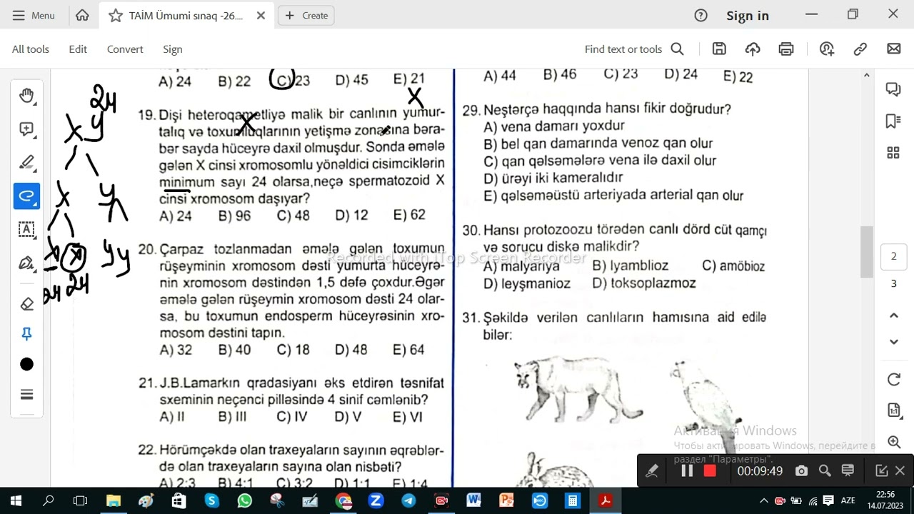 TAİM Ümumi sınaq 26