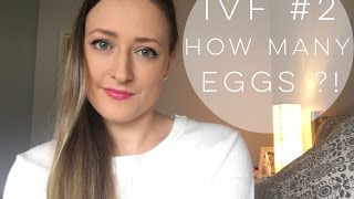 IVF #2 w/ ICSI | EGG COLLECTION & FERTILIZATION REPORT!