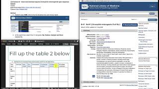 Celebrity SCB252-Lab5 Exercise 2&3 Demonstration Wealth