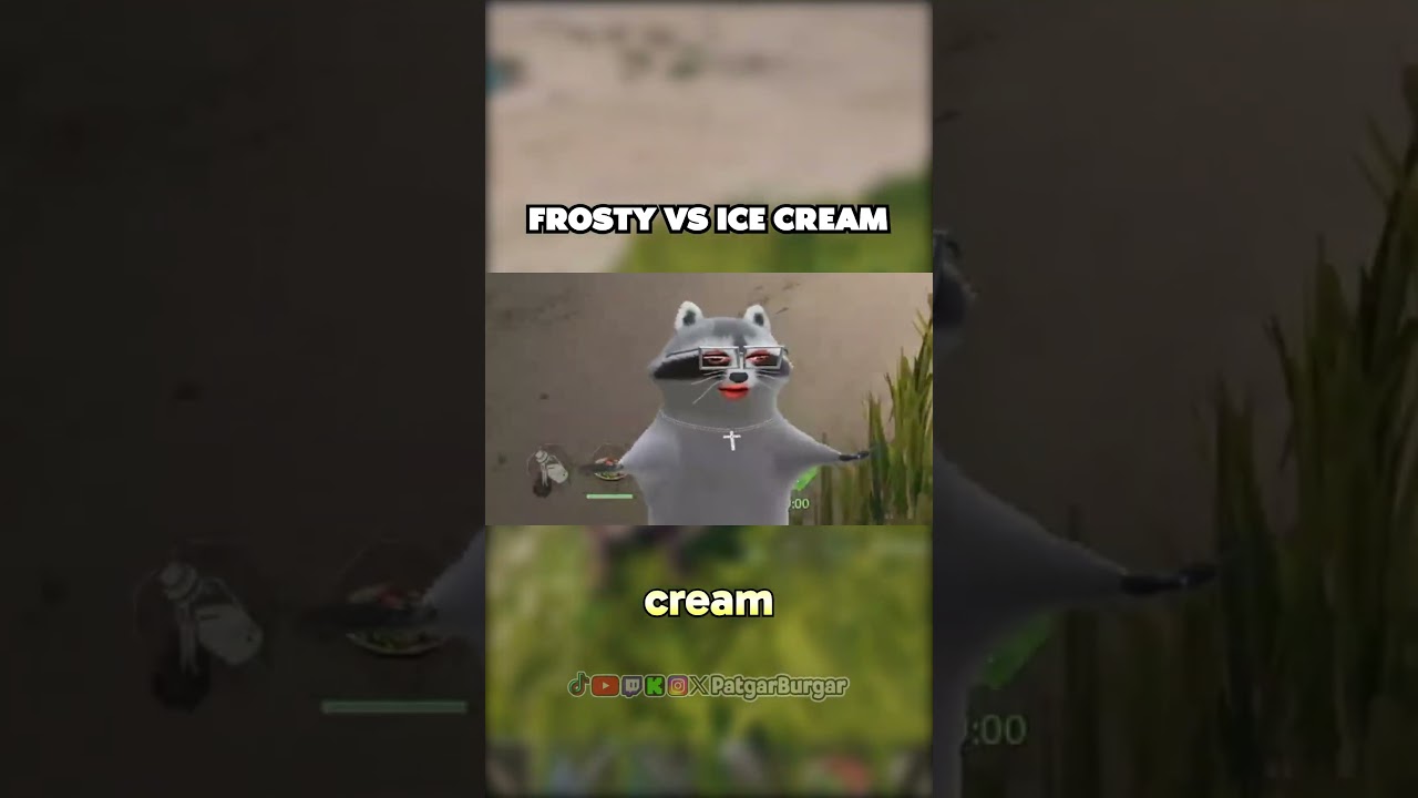 A Frosty is NOT Ice cream // Twitch & YouTube: PatgarBurgar #raccoon #streamer #hottake