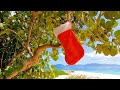 Beachy Christmas: 3 Hours of Background Video For Festive Coastal Ambience