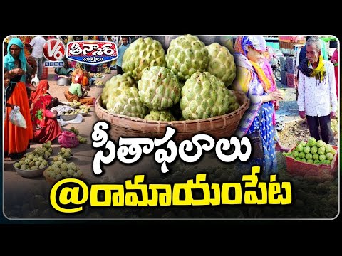 Ramayampet’s Unique Custard Apple Market Draws Traders | V6 Teenmaar - V6NEWSTELUGU