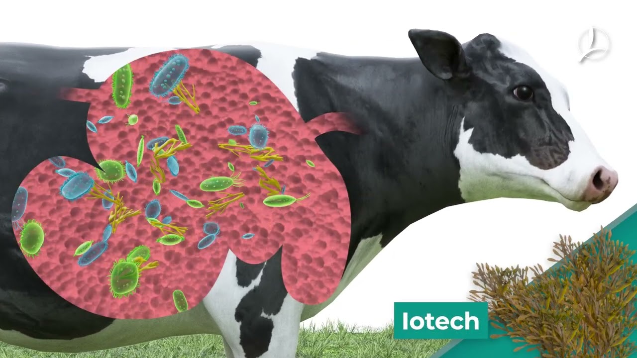 Timac Agro's CALSEAGRIT IOTECH