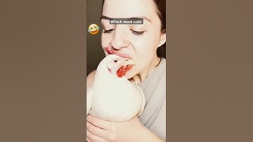 Part-3 magic challenge with @xavier_mortimer magic challenge with @queenchelseavfx #funny