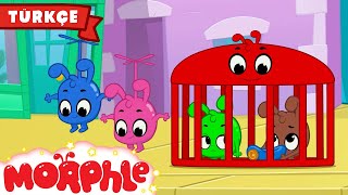 Morphle Ailesi Ii - Çocuk Videoları Çocuk Çizgi Filmleri Morphle Türkçe