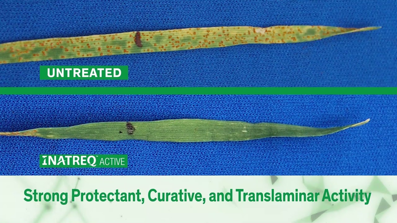 Inatreq Active EfficacyandApplication 1