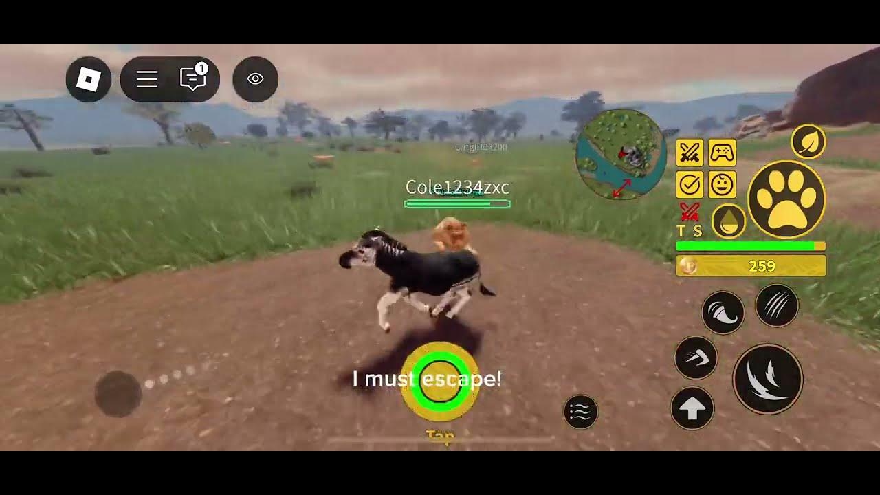 Plains Zebra Gameplay in Savannah Life | Savannah Life Roblox