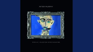 The Line Between the Devil's Teeth Content