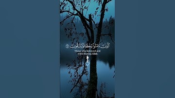 { أَلَا إِنَّ أَوْلِيَاءَ اللَّهِ لَا خَوْفٌ عَلَيْهِمْ } تلاوة هادئة للقارئ عبدالرحمن مسعد 💙 #قرآن