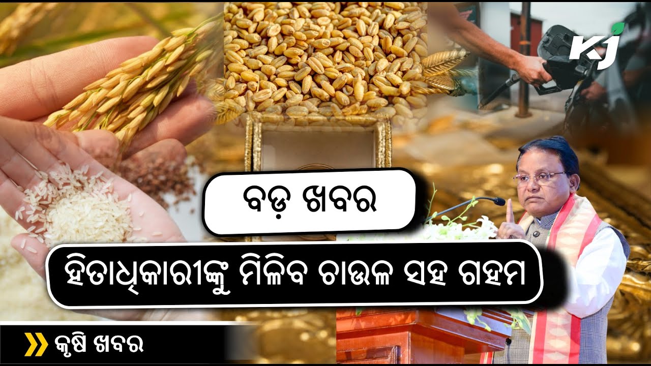 Mohan Ration ହିତାଧିକାରୀଙ୍କୁ ମିଳିବ ଚାଉଳ ସହ ଗହମ | Mohan Majhi | Ration Card | Gold ...