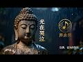 《光在哭泣 · 一首懂你苦的佛曲》