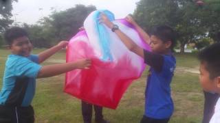 Projek sains tahun 6